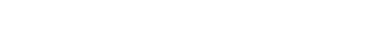 Next Level IT = Business Technology Advisors, Computer Support, Managed Services Provider.